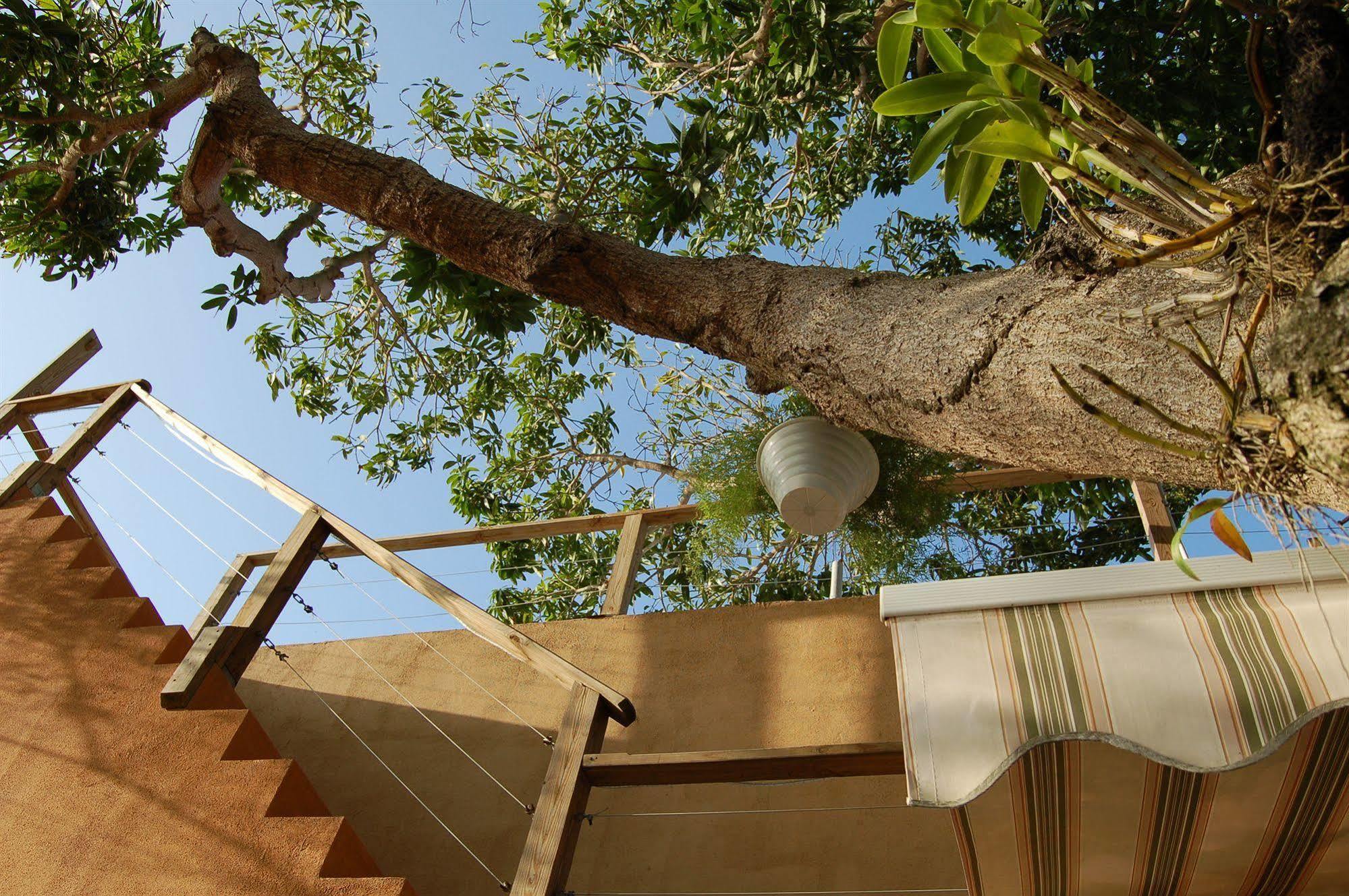 Villa Coral Guesthouse بييكيس المظهر الخارجي الصورة